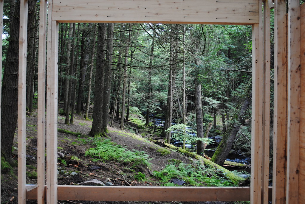 Looking Out the Picture Window