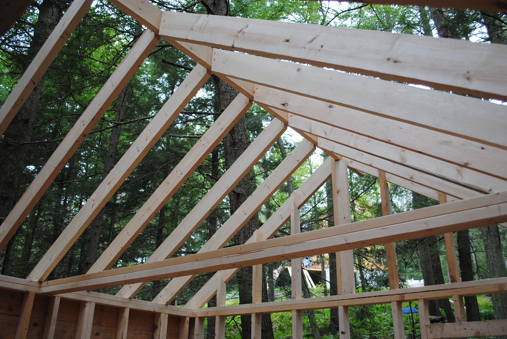 A Nearly Complete Skeleton