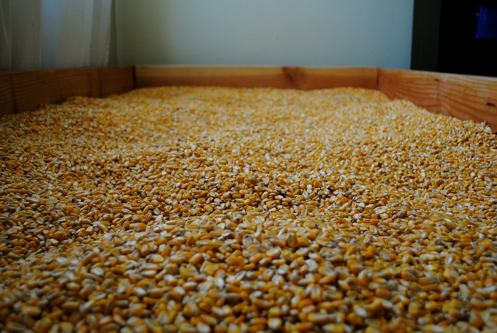 Long enough to lie down in.