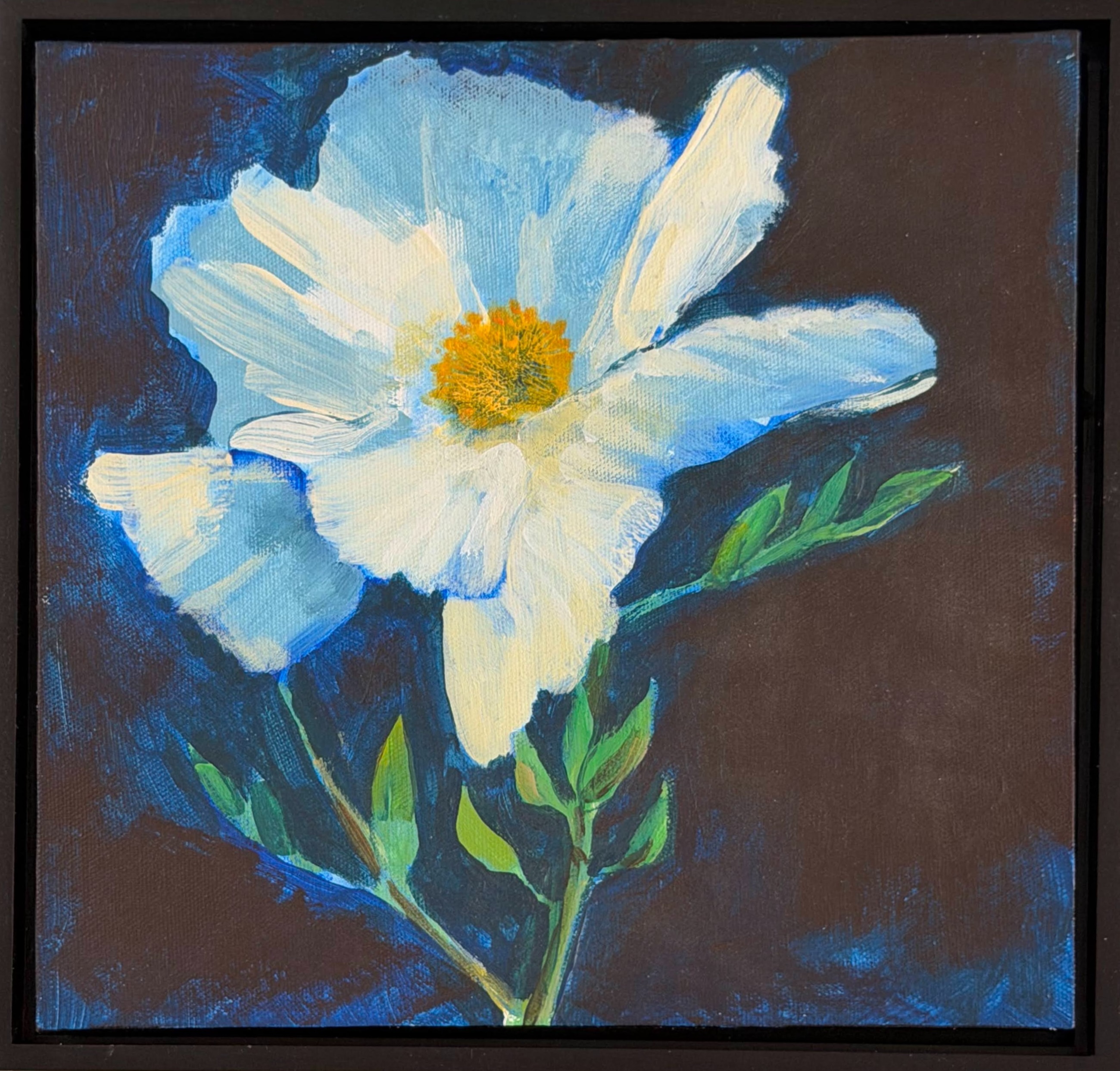 Matilija poppy painting by Livia Zirkel